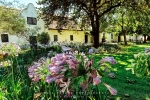 Architectural Photography - Blaauwklippen Wine Estate 1682, Stellenbosch, South-Africa - Kodak ColorPlus 200