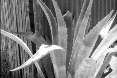 Rerapan 400 © 2021