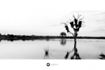 Landscape - Sunset Dam, Lower Sabie, Kruger |National Park, South-Africa - Fuji Acros I