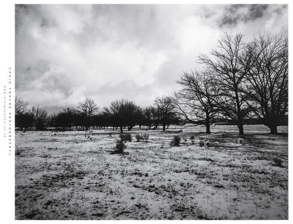 Ilford Delta 100 – LEE Red Filter