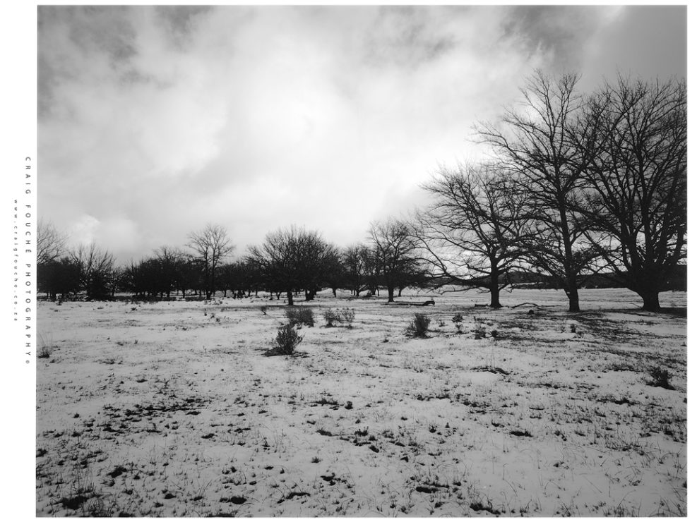 Kodak Tmax 100 – No LEE Red Filter