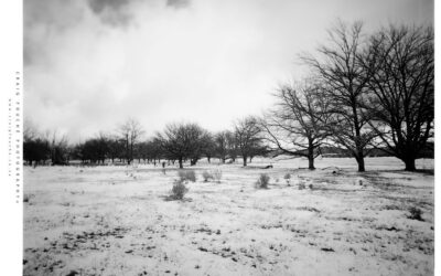 Film Photography – Large Format In The Snow