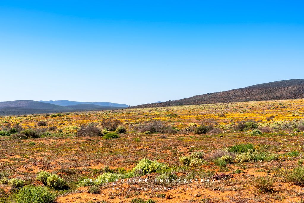 Loeriesfontein, Namaqualand