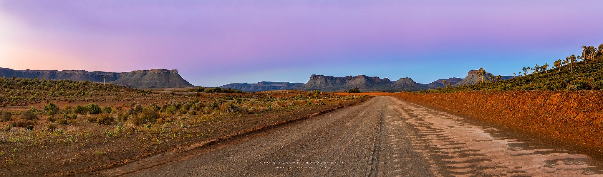 On The Road To Gannabos, Kokerboom Forest, Nieuwoudtville, South-Africa