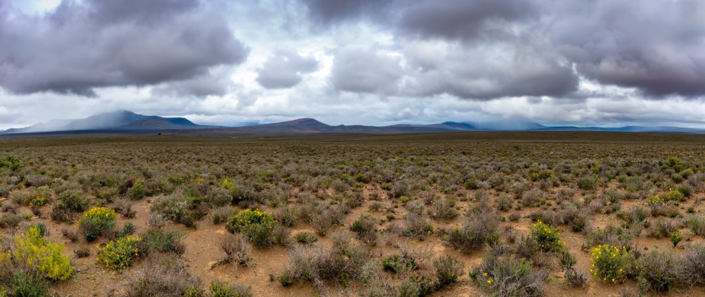 Five Simultaneous Rainstorms on R27 Near Calvinia